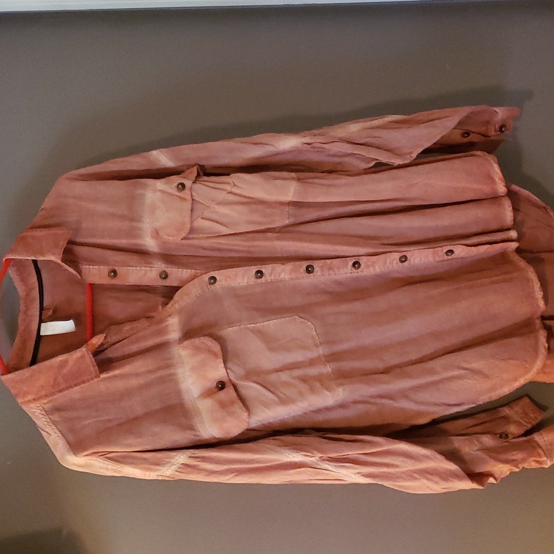 Pilcro Large Button Down